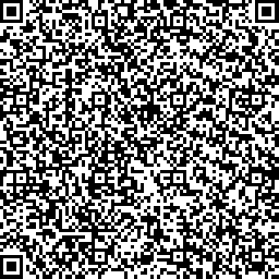 Obrázek: QR kód 256 znaků